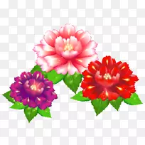 花卉设计-插花艺术-空若网 花卉设计-插花艺术-空若网