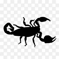 À¥³æ¼ôÓ°ºÚÉ«¿¨Í¨¼ôÌù»-À¥³æ-¿ÕÈôÍø À¥³æ¼ôÓ°ºÚÉ«¿¨Í¨¼ôÌù»-À¥³æ-¿ÕÈôÍø