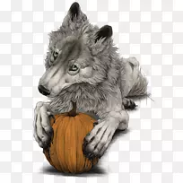 灰狼猫须,毛皮鼻子-万圣节快乐-空若网 灰狼猫须,毛皮鼻子-万圣节快乐-空若网