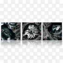 车轮白色可怕的小丑-空若网 车轮白色可怕的小丑-空若网