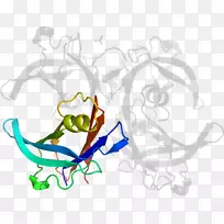 ƽ��������������������-������