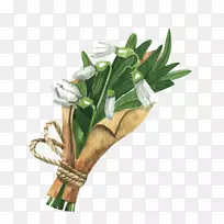 ֽˮ�ʻ�����-������