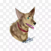 狗须-空若网 狗须-空若网