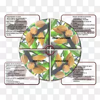 ����ɿ����ڷ���-����-������