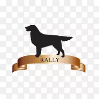 拉布拉多猎犬幼犬繁殖澳大利亚牛-扁毛猎犬-空若网 拉布拉多猎犬幼犬繁殖澳大利亚牛-扁毛猎犬-空若网