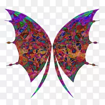 ��Գ�Ҷ��-������