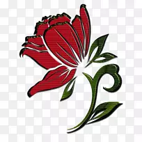 ����ֲ��Ҷ�л�ֲ��-������