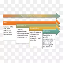 DKW金字塔知识管理信息数据-学习知识-空若网 DKW金字塔知识管理信息数据-学习知识-空若网