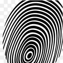 白色字体-字体-空若网 白色字体-字体-空若网