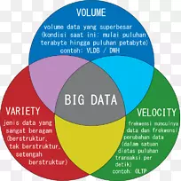 �����ݿ���Ϣ���������ھ������-������