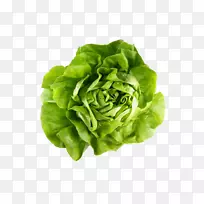 牛油生菜叶菜品种-黄油-空若网 牛油生菜叶菜品种-黄油-空若网