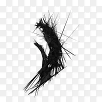 ����-��-������