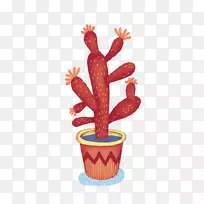 仙人掌科绘画肉质植物水彩画插图-红仙人掌-空若网 仙人掌科绘画肉质植物水彩画插图-红仙人掌-空若网