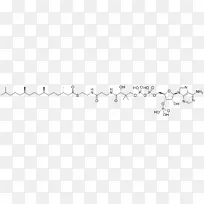 ���߽�ͼ-������