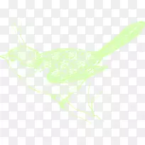 版画艺术鸟在树枝上-空若网 版画艺术鸟在树枝上-空若网