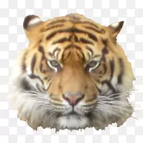 �׻�-������