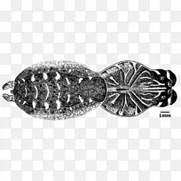 银身珠宝白银-空若网 银身珠宝白银-空若网