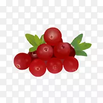 ⨺ïÌÒ¡¢°Í°Í¶à˹ӣÌÒ¡¢Ô½éÙ-¾«ÖµÄÖ¦Ò¶-¿ÕÈôÍø ⨺ïÌÒ¡¢°Í°Í¶à˹ӣÌÒ¡¢Ô½éÙ-¾«ÖµÄÖ¦Ò¶-¿ÕÈôÍø