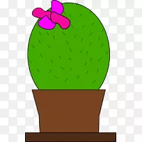 �����ƿƼ�����-����������-������