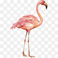 �������콡������ͯ����-������