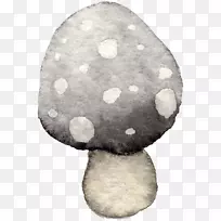 ����-�ִ�����-������