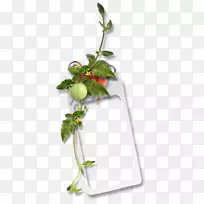 相框厨房花盆RSS-空若网 相框厨房花盆RSS-空若网