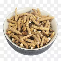 毛毛虫真菌-草本植物-空若网 毛毛虫真菌-草本植物-空若网