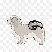 培育小狗鼻子-小狗-空若网 培育小狗鼻子-小狗-空若网