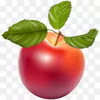 苹果剪贴画-苹果-空若网 苹果剪贴画-苹果-空若网