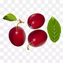 醋栗、越橘、枣、红枣-空若网 醋栗、越橘、枣、红枣-空若网