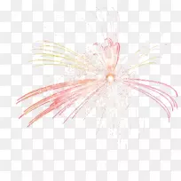 花瓣图案-烟花-空若网 花瓣图案-烟花-空若网