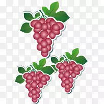 奥格里斯卡通苹果食品-葡萄标签-空若网 奥格里斯卡通苹果食品-葡萄标签-空若网