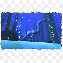 海马海洋生物水桌面壁纸-海马-空若网 海马海洋生物水桌面壁纸-海马-空若网