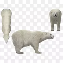 �����ܶ���Ұ���������-������-������