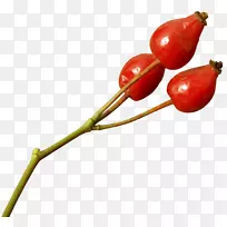 奥格利干果可以储存照片剪辑艺术-u。-空若网 奥格利干果可以储存照片剪辑艺术-u。-空若网