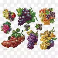 葡萄脱钩浆果剪贴画-葡萄-空若网 葡萄脱钩浆果剪贴画-葡萄-空若网