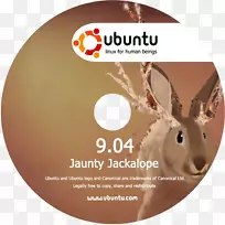 dvd光盘usb闪存驱动器磁盘存储ubuntu-dvd盒-空若网 dvd光盘usb闪存驱动器磁盘存储ubuntu-dvd盒-空若网