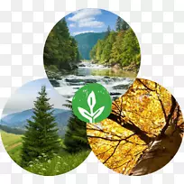 水资源生态系统-水-空若网 水资源生态系统-水-空若网