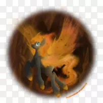 动物特写飞行片-空若网 动物特写飞行片-空若网