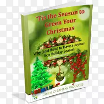 ʥ��װ��Ʒ-ʥ����-������