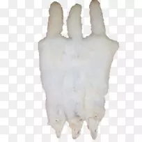 北极狐红狐狗北极熊北极狐-空若网 北极狐红狐狗北极熊北极狐-空若网