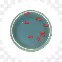餐具字体-巴西选手-空若网 餐具字体-巴西选手-空若网