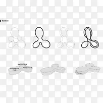 白描技术.图圆-空若网 白描技术.图圆-空若网