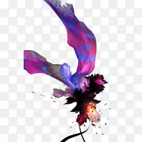 彩色羽毛-空若网 彩色羽毛-空若网