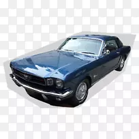 ��һ������Ұ����������������˾����-������