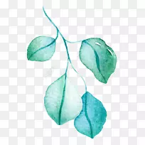 水彩画叶绿画-空若网 水彩画叶绿画-空若网