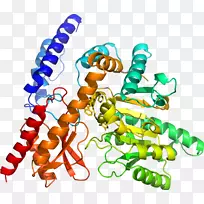 艺术身体珠宝有机体剪贴艺术珠宝首饰-空若网 艺术身体珠宝有机体剪贴艺术珠宝首饰-空若网