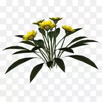 �л���õ�壬����-õ��-������