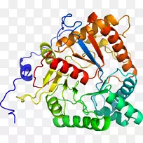 线点生物剪贴画线-空若网 线点生物剪贴画线-空若网