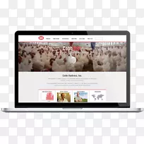 品牌展示广告多媒体-创新前瞻-空若网 品牌展示广告多媒体-创新前瞻-空若网